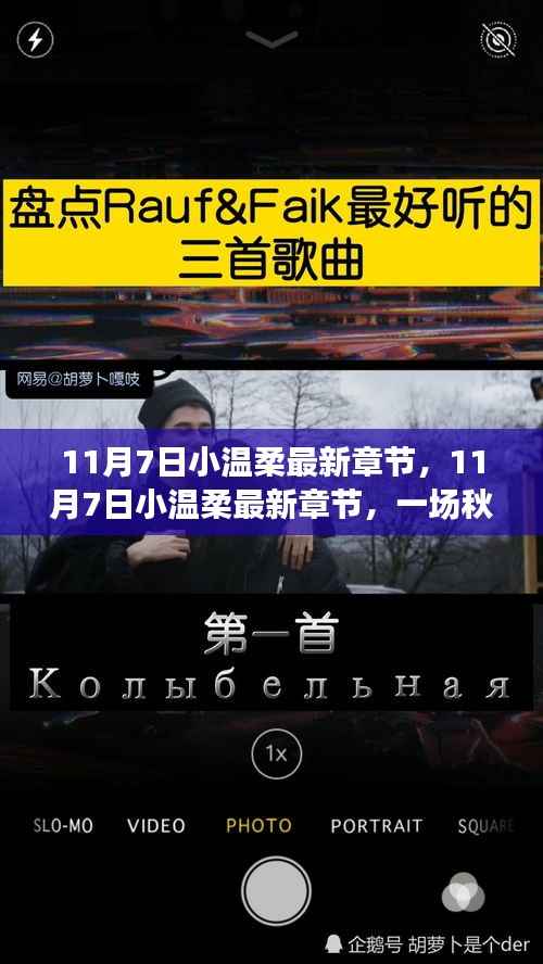 秋日深情邂逅,11月7日小温柔最新章节