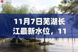 11月7日芜湖长江水位最新评测及实况分析