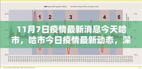 哈尔滨疫情最新动态，今日分析与个人观点分享（11月7日更新）
