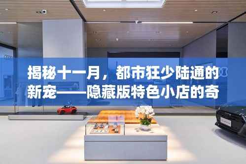 揭秘十一月，都市狂少陆通的新宠——隐藏版特色小店的奇妙之旅