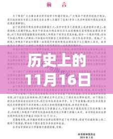历史上的11月16日山丹马场新政策深度解读与案例分析，最新政策概览与案例分析纪实