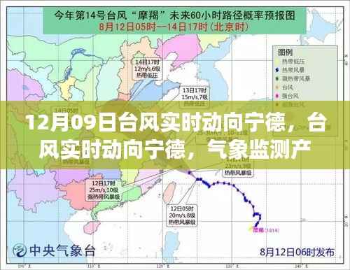 台风来袭!宁德气象监测产品深度解析与实时动向追踪