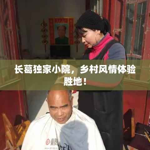 蓬荜生辉