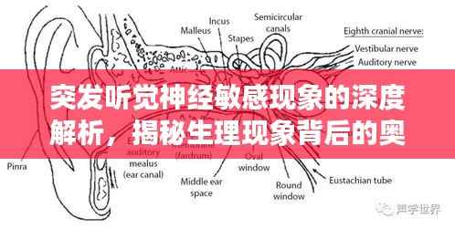贵不期骄